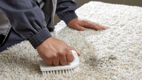 Professional Rug Cleaning Clifton Springs